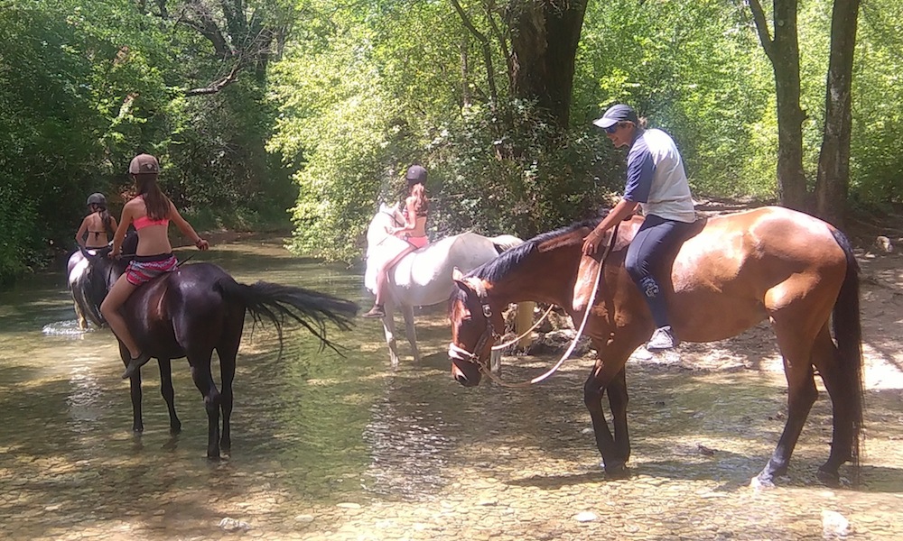 centre equestre var